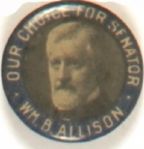 Allison for Senator, Iowa