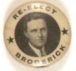 Re-Elect Broderick
