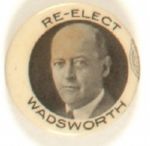 Re-Elect Wadsworth, New York