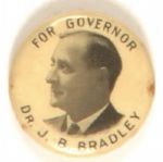 Bradley for Governor, Michigan