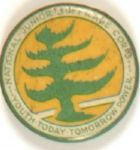 National Junior Suffrage Corps