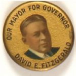 Fitzgerald for Governor, Connecticut