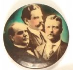 McKinley, TR, Yates Illinois Coattail