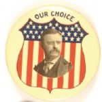 Theodore Roosevelt Our Choice