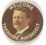 Welcome Theodore Roosevelt Multicolor Celluloid