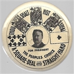 Theodore Roosevelt a Square Deal and Straight Hand