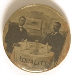 Roosevelt, Booker T. Washington Equality