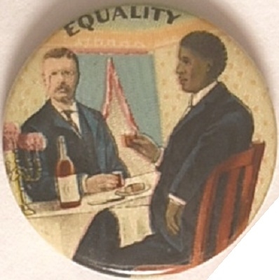 Theodore Roosevelt, Booker T. Washington Equality