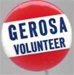 Gerosa Volunteer New York City