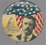 Theodore Roosevelt Capitol and Flag Pin