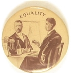 Roosevelt, Booker T. Washington Equality Pin