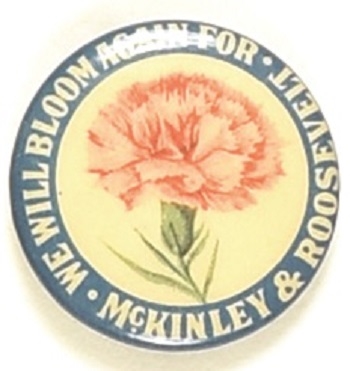 McKinley Carnation Pin