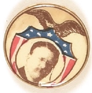 Theodore Roosevelt Rare Eagle, Shield Celluloid