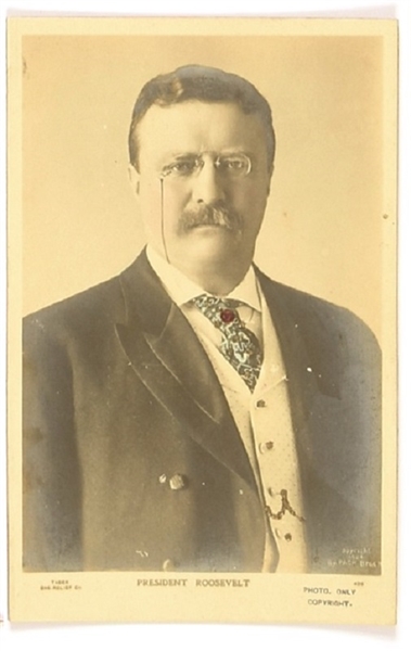 Theodore Roosevelt Postcard With Glitter
