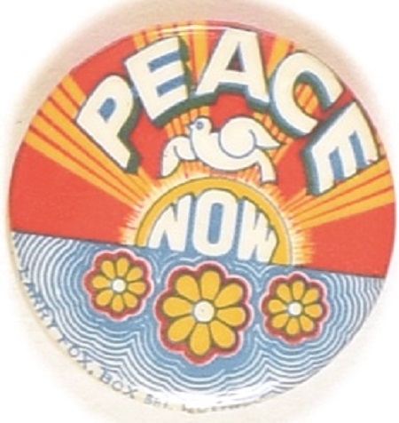 Peace Now Colorful Rising Sun, Dove Protest Pin