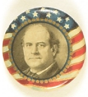 Bryan 1908 Stars and Stripes Celluloid