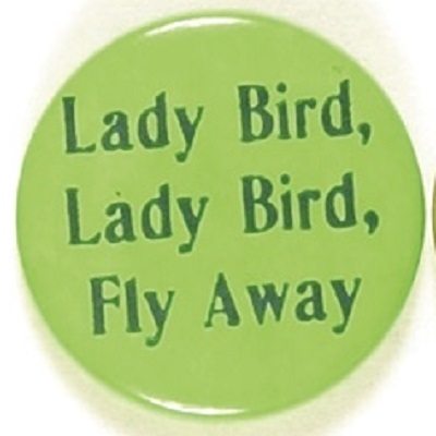 Lady Bird Fly Away