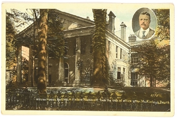 Theodore Roosevelt Buffalo, New York Postcard