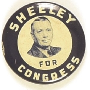 Shelley for Congress, Illinois