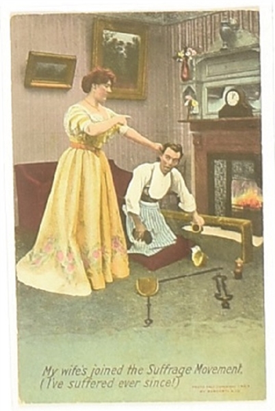 Suffering with the Suffrage Movement Postcard