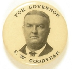Goodyear for Governor, New York