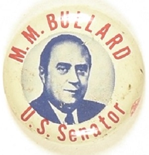Bullard for Senator, Tennessee