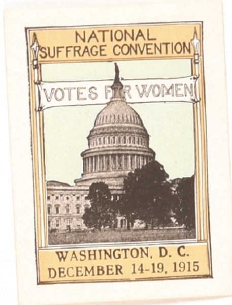 National Suffrage Convention 1915 Stamp