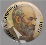 James Garfield Button Presidential Set 