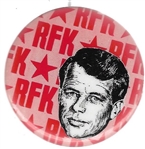 Robert Kennedy Art Fair Pin