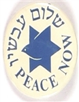 Hebrew Peace Now