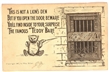 Theodore Roosevelt Teddy Bear Bathroom Postcard