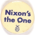 Nixons the One Watergate Pin