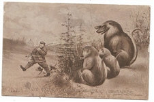 Taft Only Possums that Escaped Postcard 