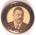 Penrose for Senator, Pennsylvania