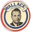 George Wallace for President 1964 Celluloid