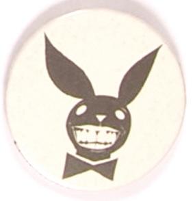 Carter Bunny