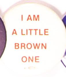 Dukakis Little Brown One