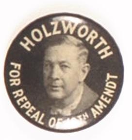 Holzworth Repeal Amendment