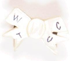 WCTU Plastic Pinback