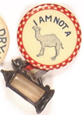 I Am Not A Camel