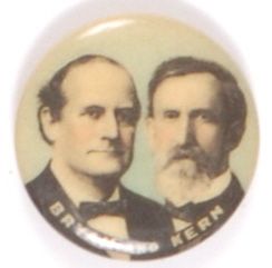 Bryan 1908 Jugate