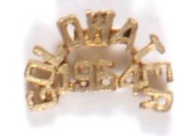 Goldwater Jewelry Pin