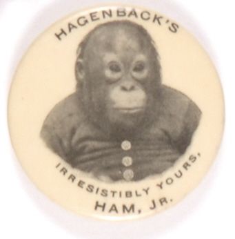 Ham Jr.