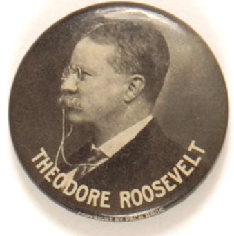 Roosevelt Profile
