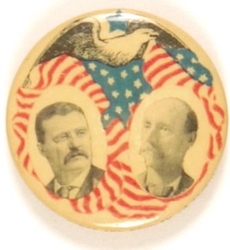 Roosevelt Minnesota Coattail
