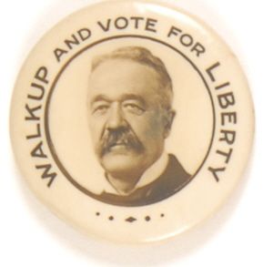 Walkup and Vote for Liberty Socialist Pin