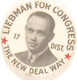 Liebman for Congress, New Deal Way New York