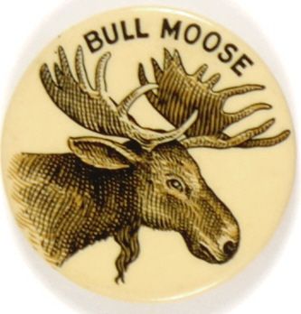 Bull Moose Party