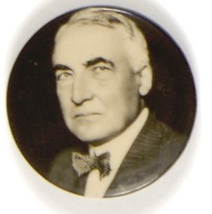 Warren Harding Picture Pin