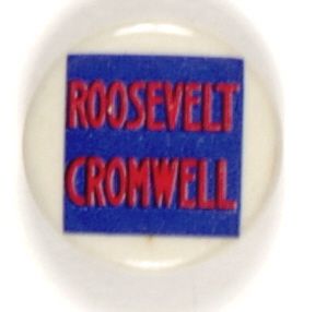 Roosevelt New Jersey Coattail